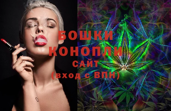 spice Новозыбков