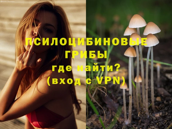 а пвп мука Надым