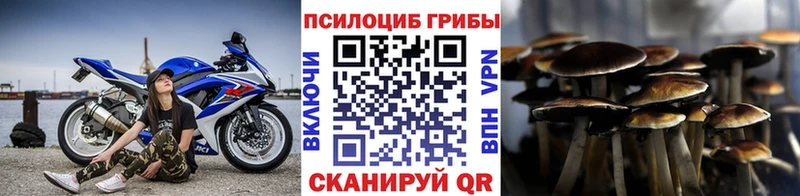 продажа наркотиков  Лабытнанги  blacksprut как зайти  Псилоцибиновые грибы Cubensis 